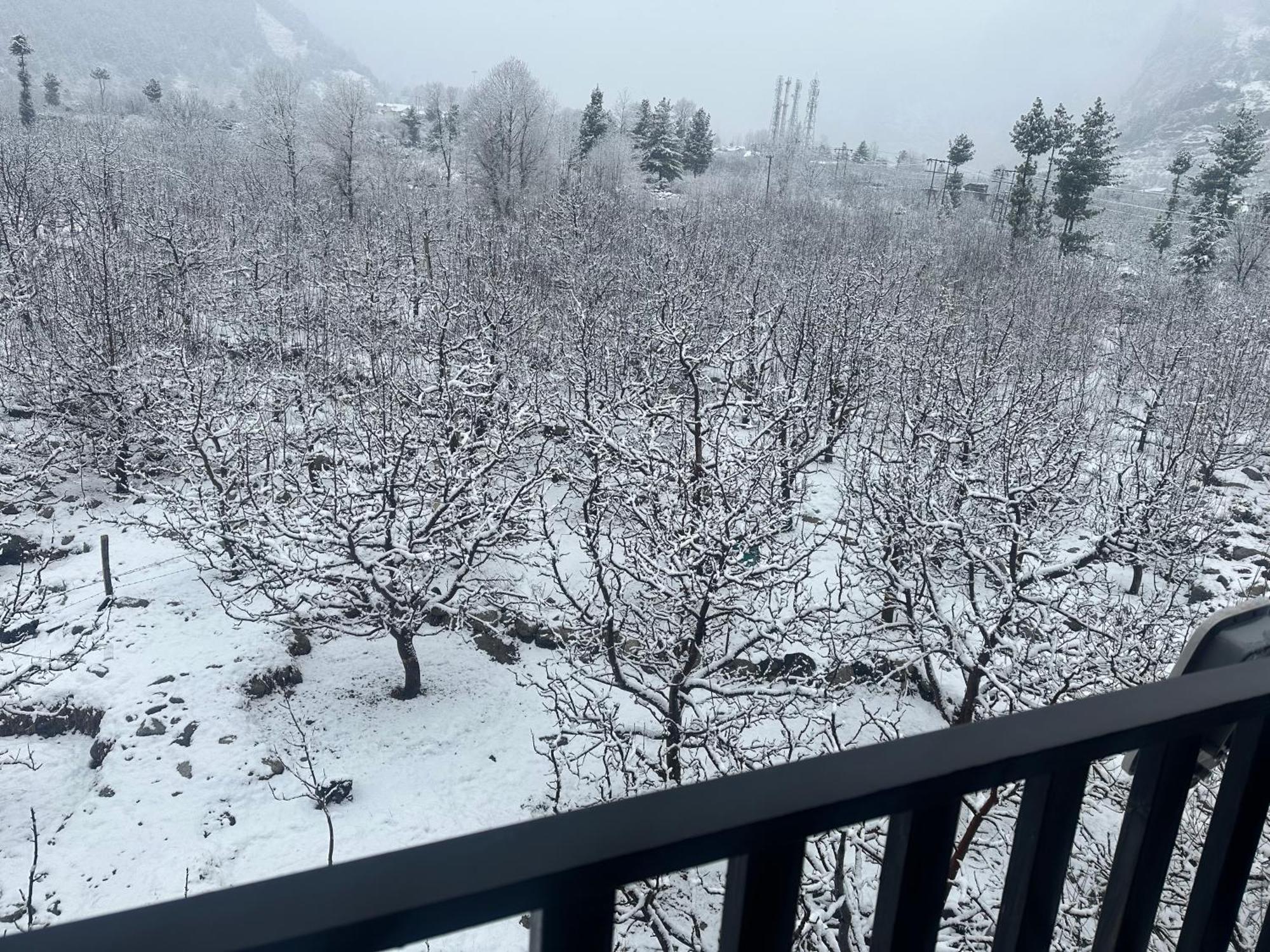 Orzu Boutique * Manali (Himachal Pradesh)